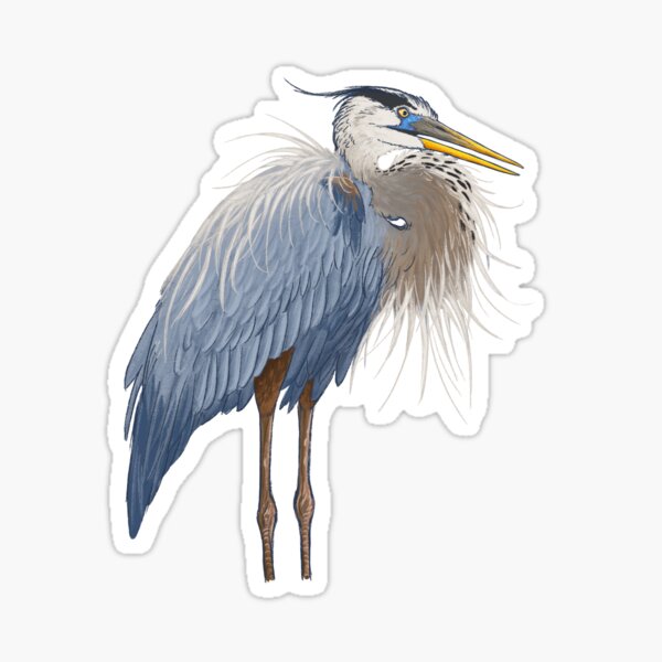 Item preview, Great Blue Heron designed and sold by VulpiSketch.