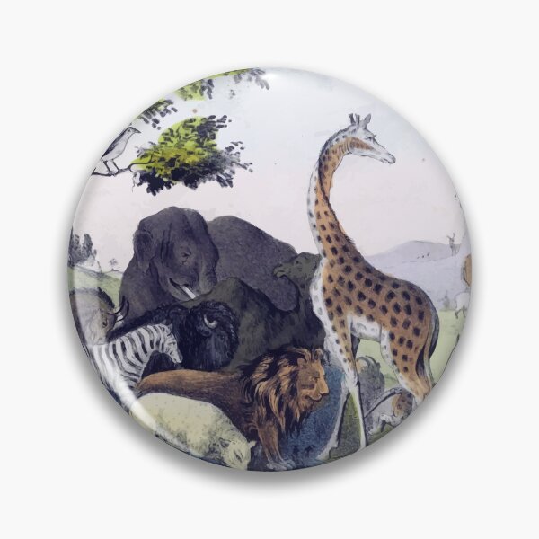 Item preview, Naming Animals designed and sold by Spenzant.