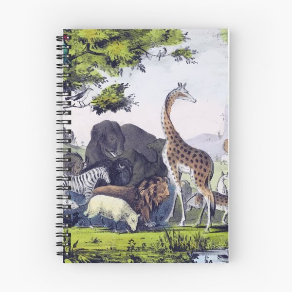 Item preview, Naming Animals designed and sold by Spenzant.