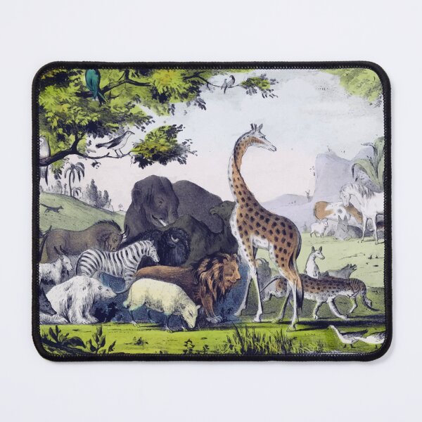 Item preview, Naming Animals designed and sold by Spenzant.