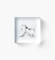 He and she handcuffed Acrylic Block