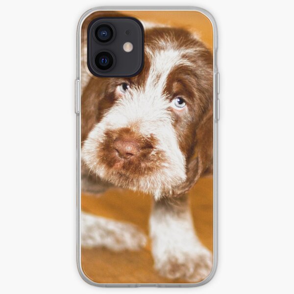 Puppy dog eyes Spinone iPhone Soft Case