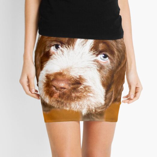 Puppy dog eyes Spinone Mini Skirt