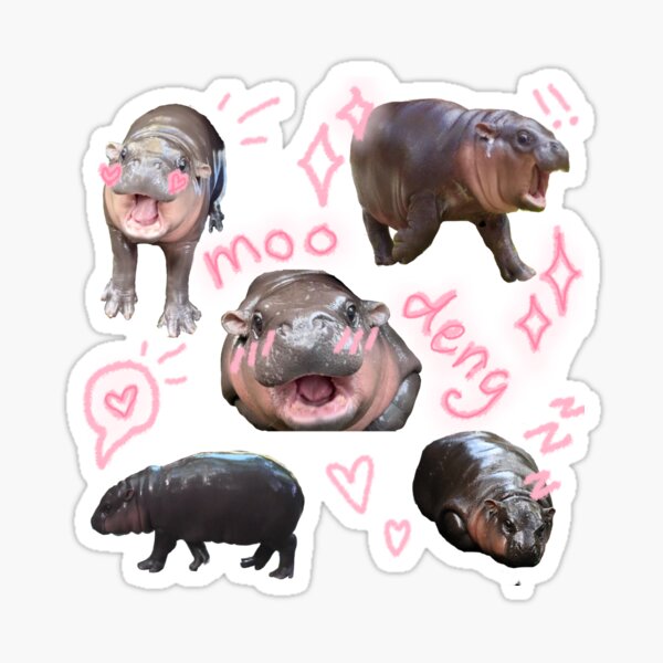 Vista previa del artículo con la obra «MOO DENG ES TAN LINDO», diseñado y vendido por is4bxlle.