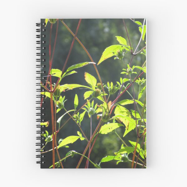 Item preview, Wild plants flowers botanic art photography  designed and sold by lausn.