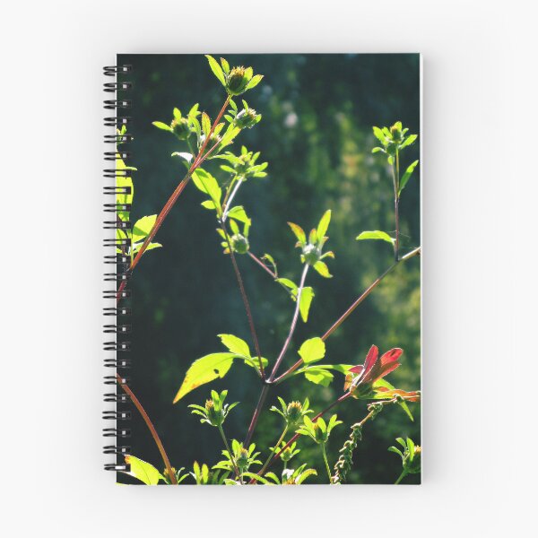 Item preview, Contrast color tones wild plants botanic art photography  designed and sold by lausn.