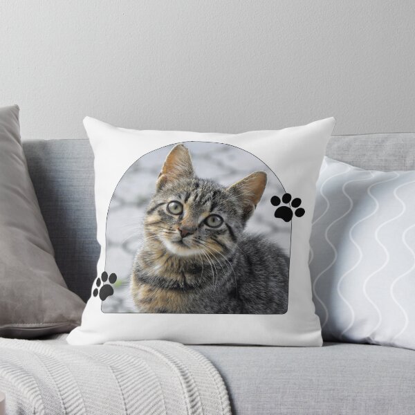 Artikelvorschau, Aus der Sicht einer Katze gehören alle Dinge der Katze. entworfen und verkauft von leylakidesign.