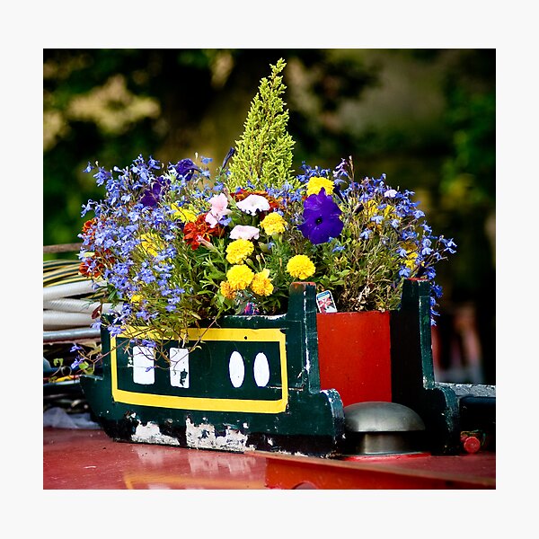 flower power Photographic Print