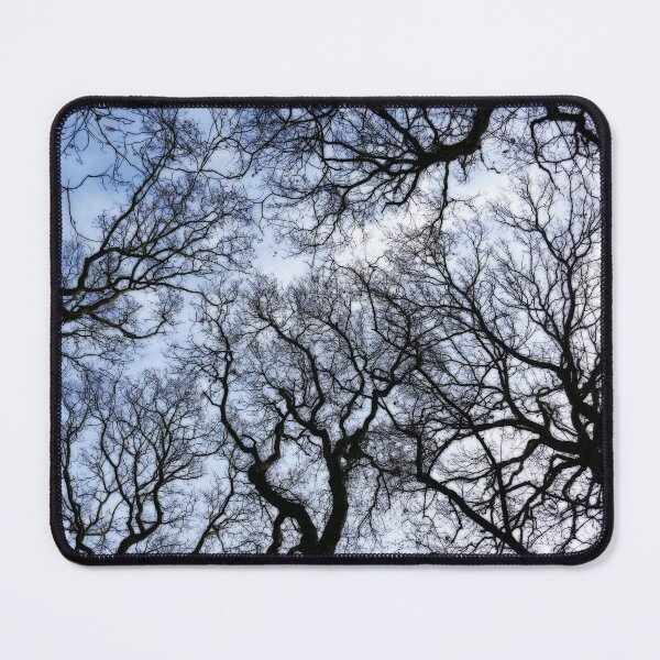Item preview, Winter Oaks 5, dreamy edit designed and sold by paulboizot.