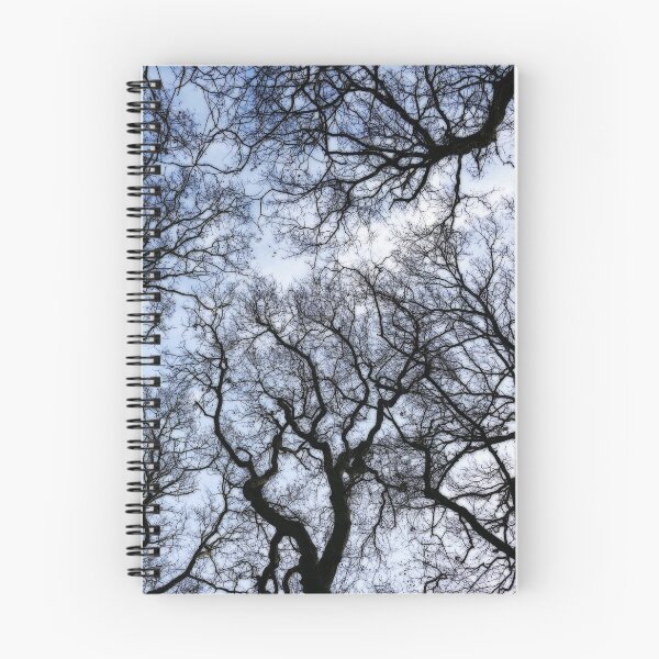 Item preview, Winter Oaks 5, dreamy edit designed and sold by paulboizot.