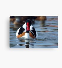 Water Off A Duck's Bill Canvas Print