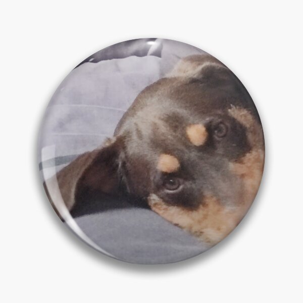 Item preview, Pet designed and sold by unity2024.