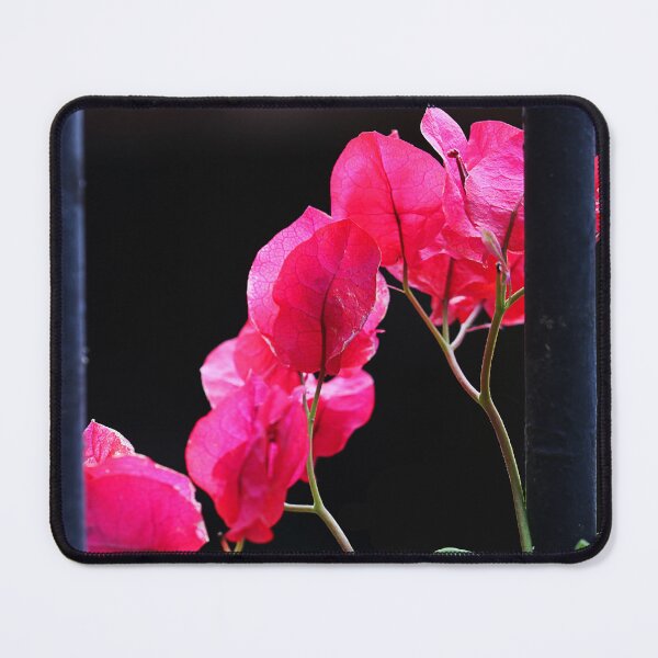 Item preview, Red between the lines. designed and sold by Paul Pasco.