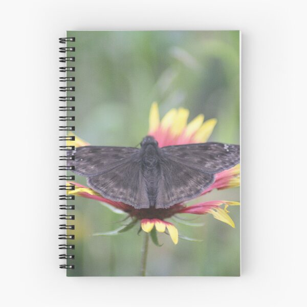 Item preview, Skipper Butterfly on Firewheel Flower designed and sold by HematiteDesign.
