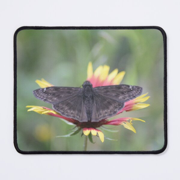 Item preview, Skipper Butterfly on Firewheel Flower designed and sold by HematiteDesign.