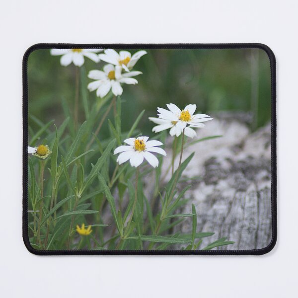 Item preview, White Flowers designed and sold by HematiteDesign.