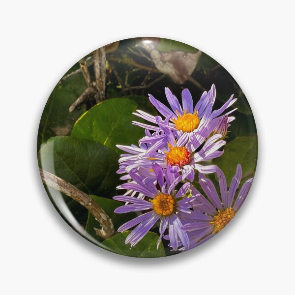 Item preview, Passing Fancies designed and sold by Steve Walser.