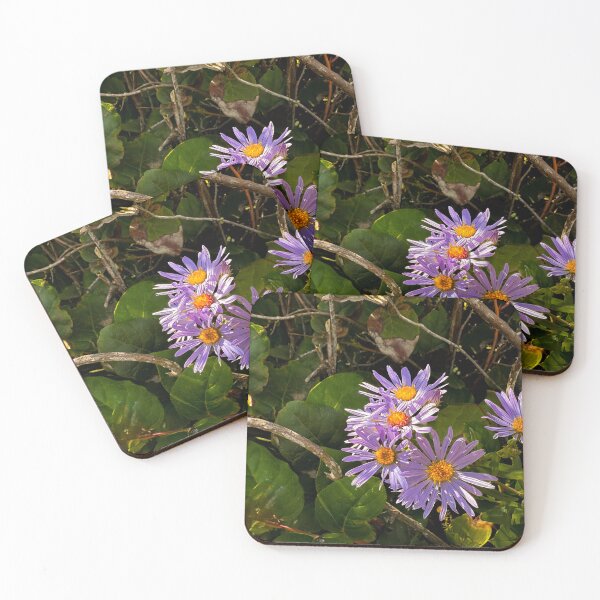 Item preview, Passing Fancies designed and sold by Steve Walser.