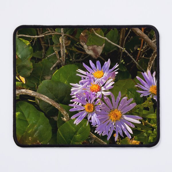 Item preview, Passing Fancies designed and sold by Steve Walser.