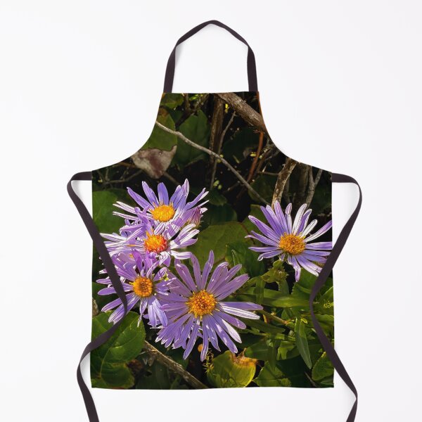Item preview, Passing Fancies designed and sold by Steve Walser.