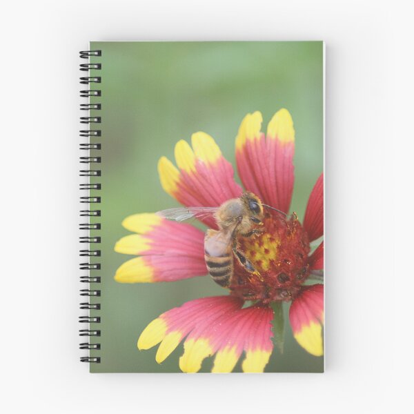 Item preview, Honey Bee on Firewheel Flower designed and sold by HematiteDesign.