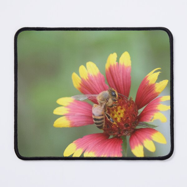 Item preview, Honey Bee on Firewheel Flower designed and sold by HematiteDesign.