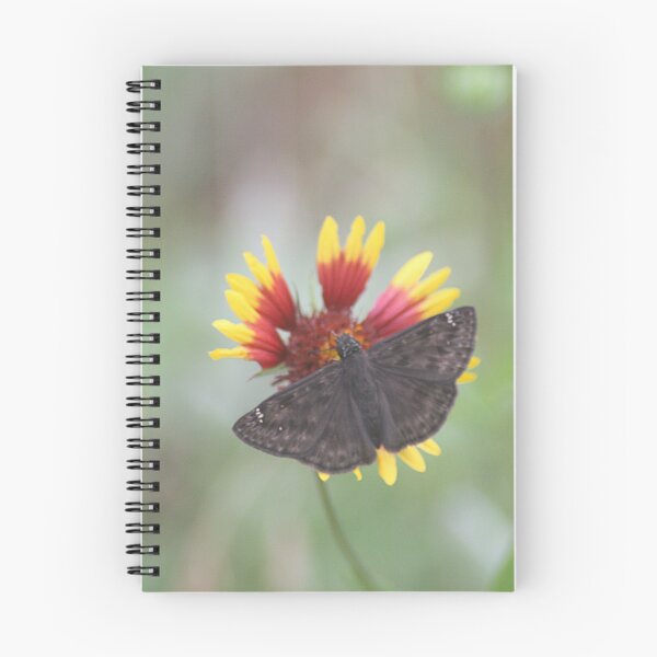 Item preview, Skipper Butterfly Sitting on Firewheel designed and sold by HematiteDesign.