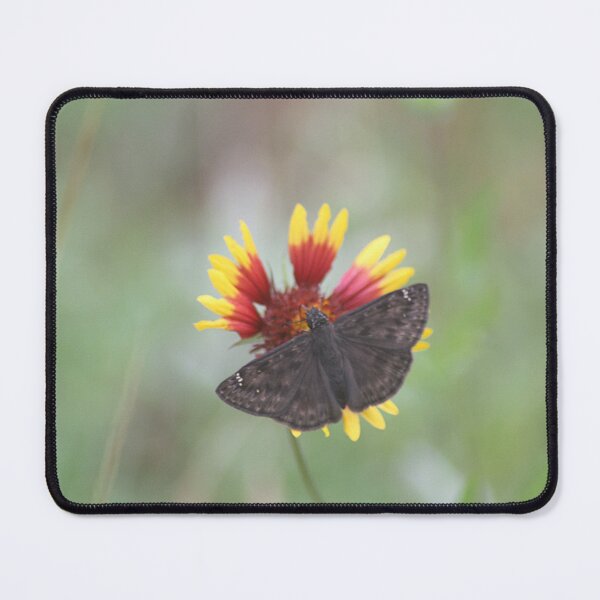 Item preview, Skipper Butterfly Sitting on Firewheel designed and sold by HematiteDesign.