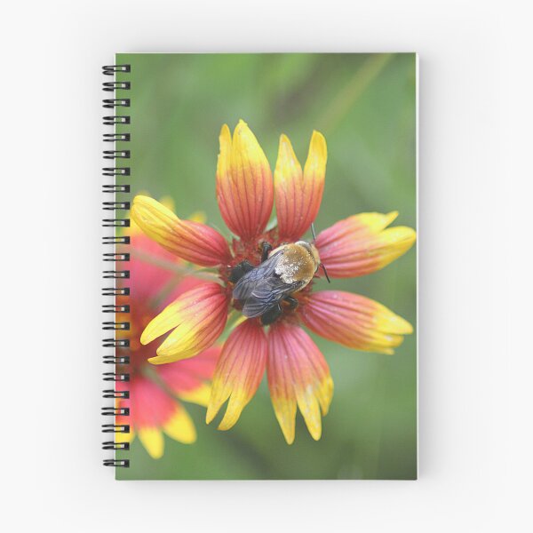 Item preview, Bee on Center of Firewheel Flower designed and sold by HematiteDesign.