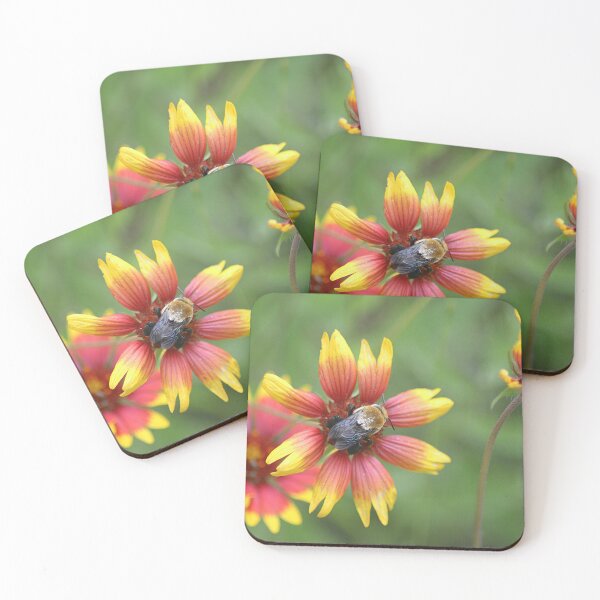 Item preview, Bee on Center of Firewheel Flower designed and sold by HematiteDesign.