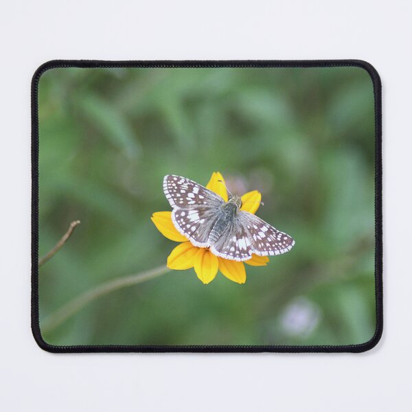 Item preview, White Checkered Skipper Butterfly On Yellow Flower designed and sold by HematiteDesign.