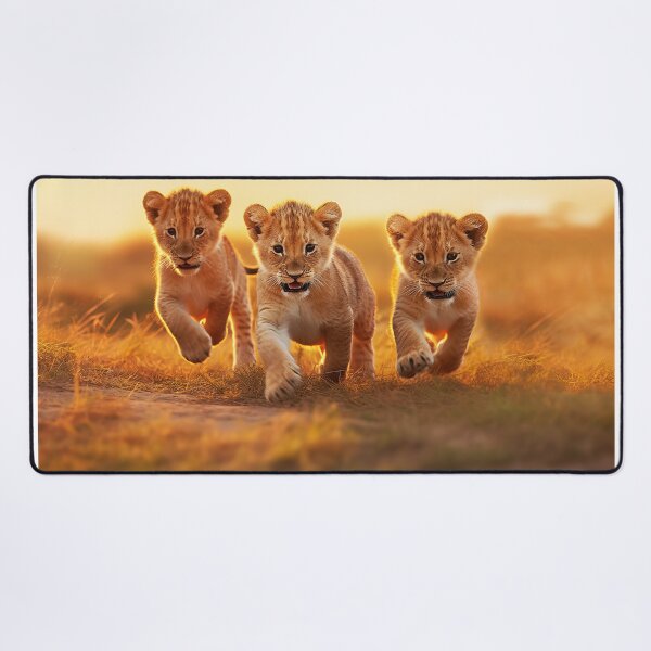 Item preview, A pride of young lion cubs running - Wildlife photo designed and sold by TheArtistOf2022.