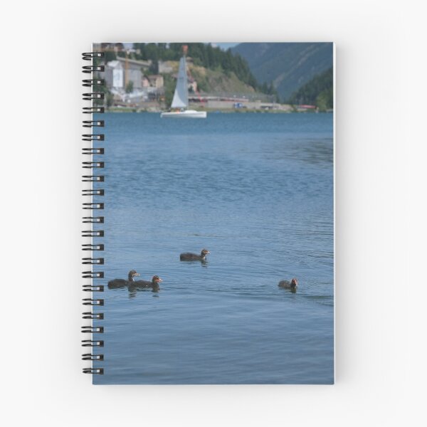 Item preview, Mother duck and ducklings swimming on St. Moritz lake designed and sold by svanaerschot.