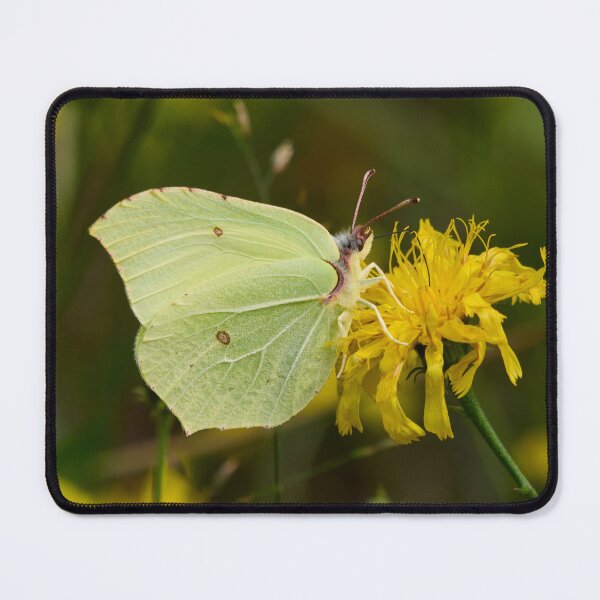 Item preview, Yellow tones. Brimstone designed and sold by Jouko Lehto Photography.