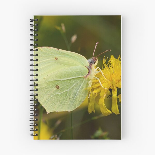 Item preview, Yellow tones. Brimstone designed and sold by Jouko Lehto Photography.