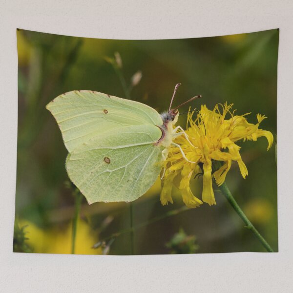 Item preview, Yellow tones. Brimstone designed and sold by Jouko Lehto Photography.