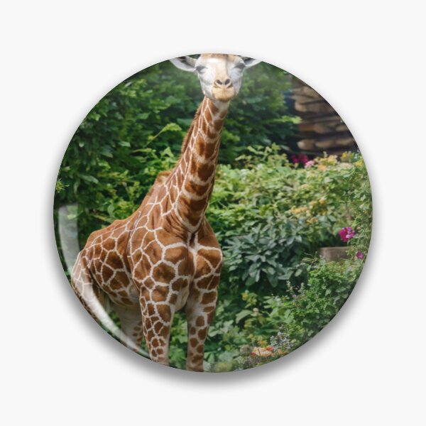 Item preview, The Giraffe, A Symbol of Elegance designed and sold by Collection de trésors .