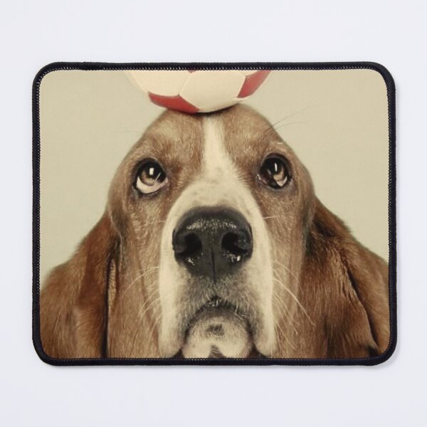 Item preview, Dogball designed and sold by Q-Q-Q-Q.