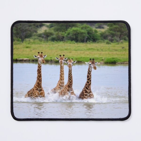 Item preview, La Girafe, Un Animal Social designed and sold by Collection de trésors .