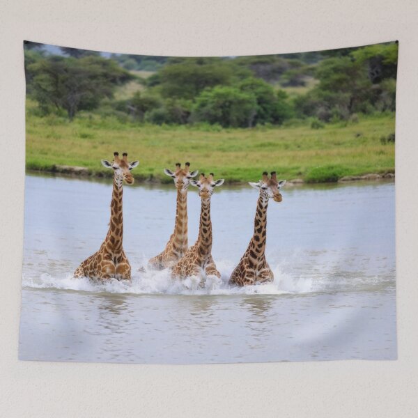 Artikelvorschau, Die Giraffe, ein soziales Tier entworfen und verkauft von Collection de trésors .