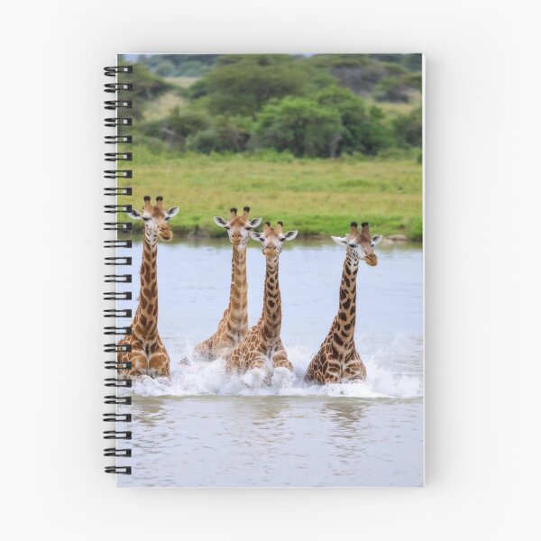 Item preview, La jirafa, un animal social designed and sold by Collection de trésors .