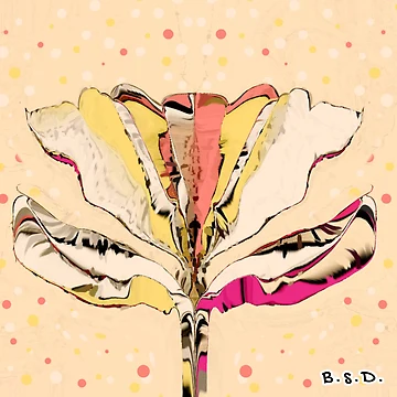 Artwork thumbnail, Paper Flower by Shells Designs