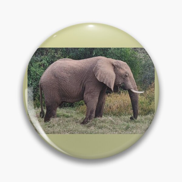 Item preview, Silent Majesty: Elephant's Journey Through Samburu designed and sold by annenambiro.