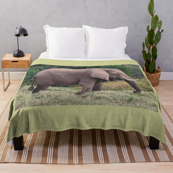 Item preview, Silent Majesty: Elephant's Journey Through Samburu designed and sold by annenambiro.