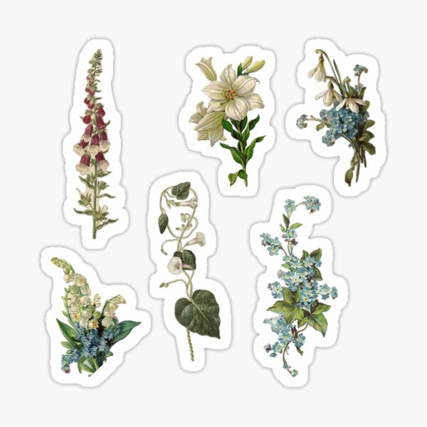 Item preview, Vintage Classic Flower Pack designed and sold by madisonscottage.