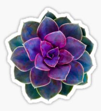 Succulent Cactus Sticker