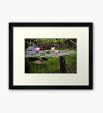 ~tranquil~ Framed Print