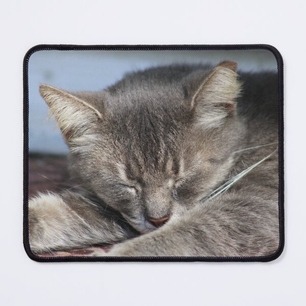 Item preview, Porch Kitty designed and sold by McFleur's Lens.