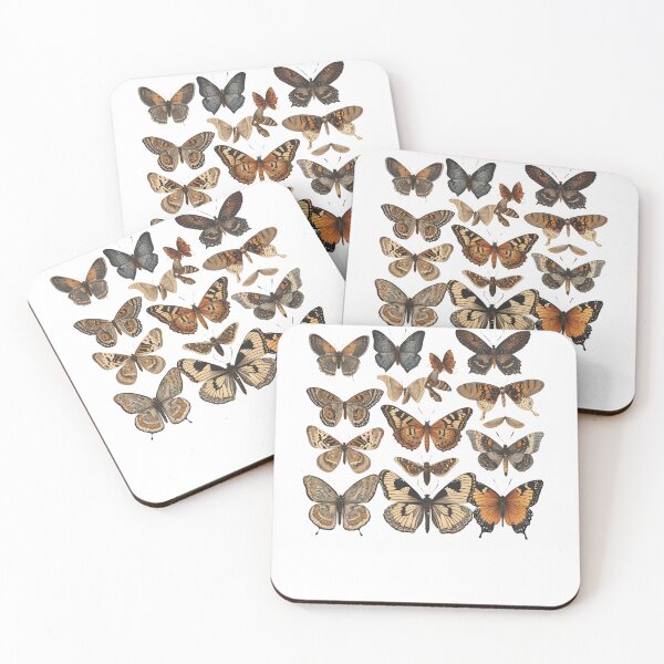 Item preview, Beautiful butterflies species designed and sold by Jerziv-C.