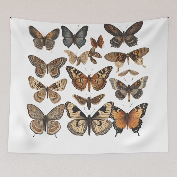 Item preview, Beautiful butterflies species designed and sold by Jerziv-C.